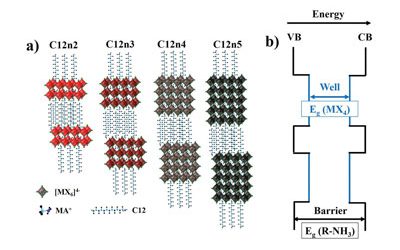 Managing Growth And Dimensionality of Quasi 2D Perovskite Single-Crystalline Flakes For Tunable Excitons Orientation