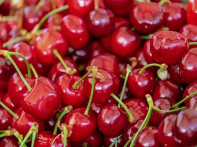 Cnr-Nanotec e Associazione dei Comuni “Cuore della Puglia” valorizzano i prodotti agroalimentari della Murgia barese