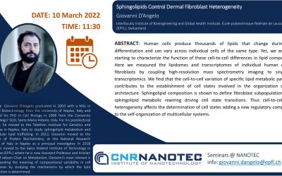 Sphingolipids Control Dermal Fibroblast Heterogeneity