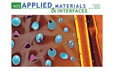 Molecularly Imprinted Silk Fibroin Nanoparticles