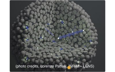 Spatial coherence of light inside three dimensional media