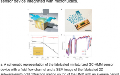 Extreme sensitivity biosensing platform based on hyperbolic metamaterials