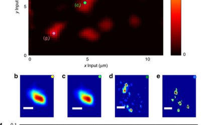 Disorder-induced single-mode transmission