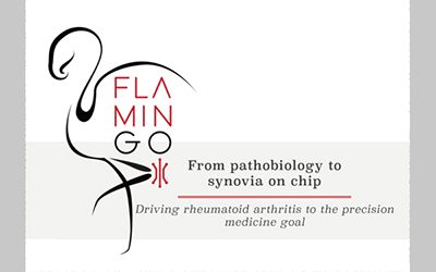 The European project FLAMIN-GO is underway: within the potential of precision medicine, a breakthrough for the treatment of rheumatoid arthritis