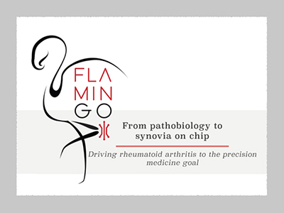 The European project FLAMIN-GO is underway: within the potential of precision medicine, a breakthrough for the treatment of rheumatoid arthritis